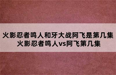 火影忍者鸣人和牙大战阿飞是第几集 火影忍者鸣人vs阿飞第几集